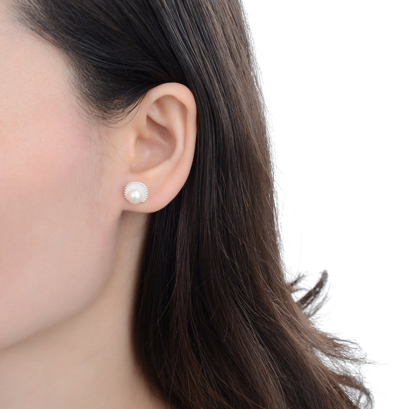 Zarcillos Stud Conchiglie e Perle
