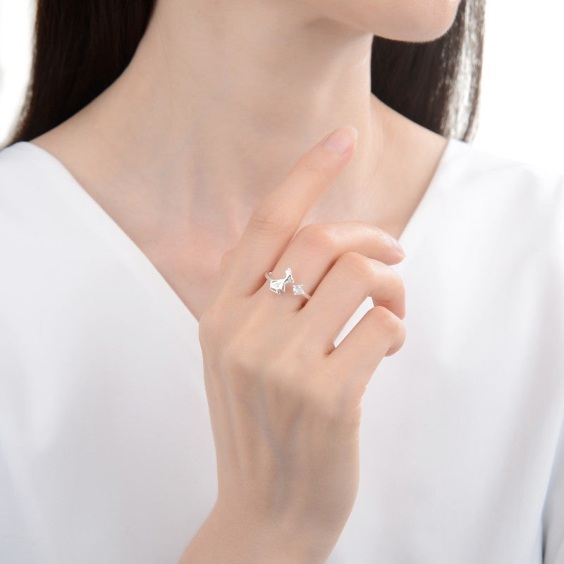 Anillo Coniglio