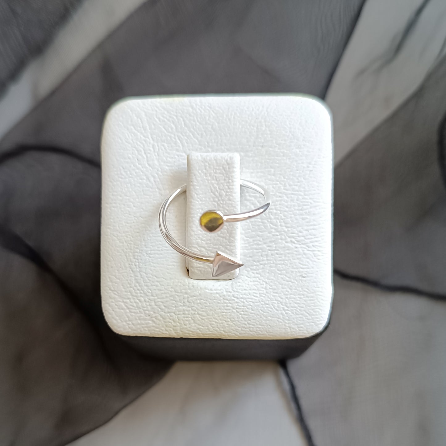 Anillo Passare