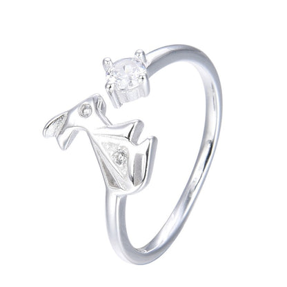Anillo Coniglio